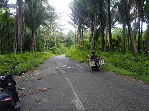 Kerusakan Jalan Yang Terletak Di Belakang Kampung Tacim, Kecamatan Sahu