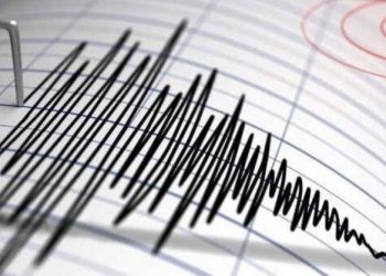 Gempa Berkekuatan 5,9 Magnitudo Menguncang Halbar