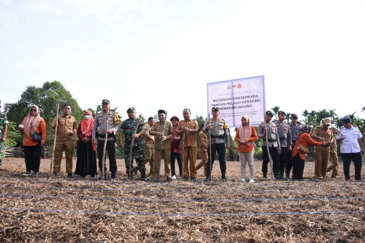 Dukung Swasembada, Pemkot, Polresta dan Kodim Gelar Penanaman Jagung